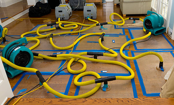 Professional Emergency Water Removal technician working in Groveland, ID